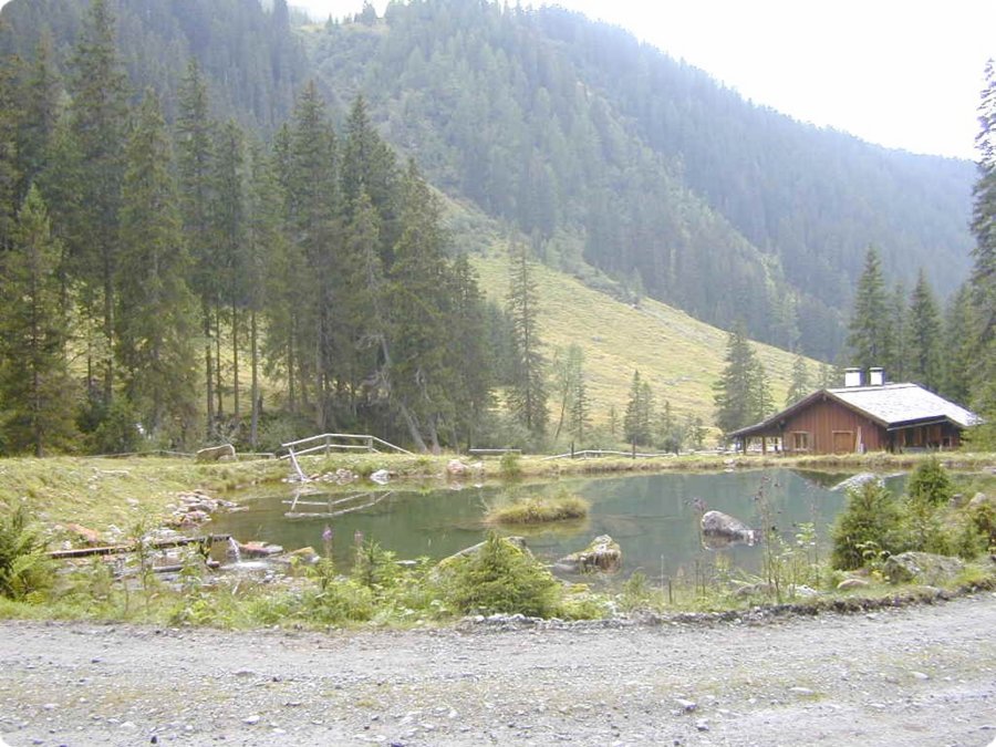 106.jpg