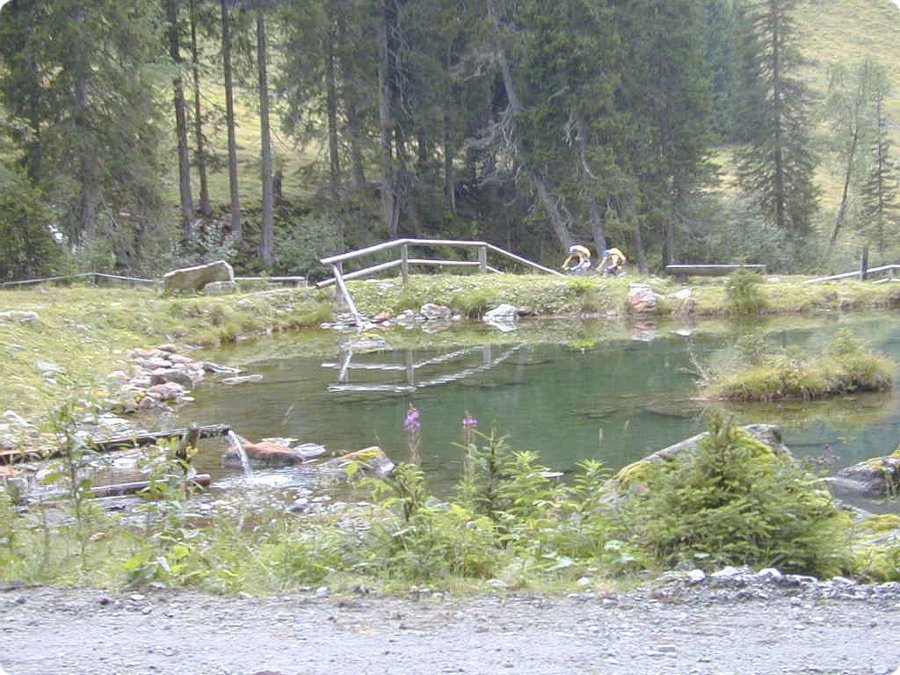 107.jpg