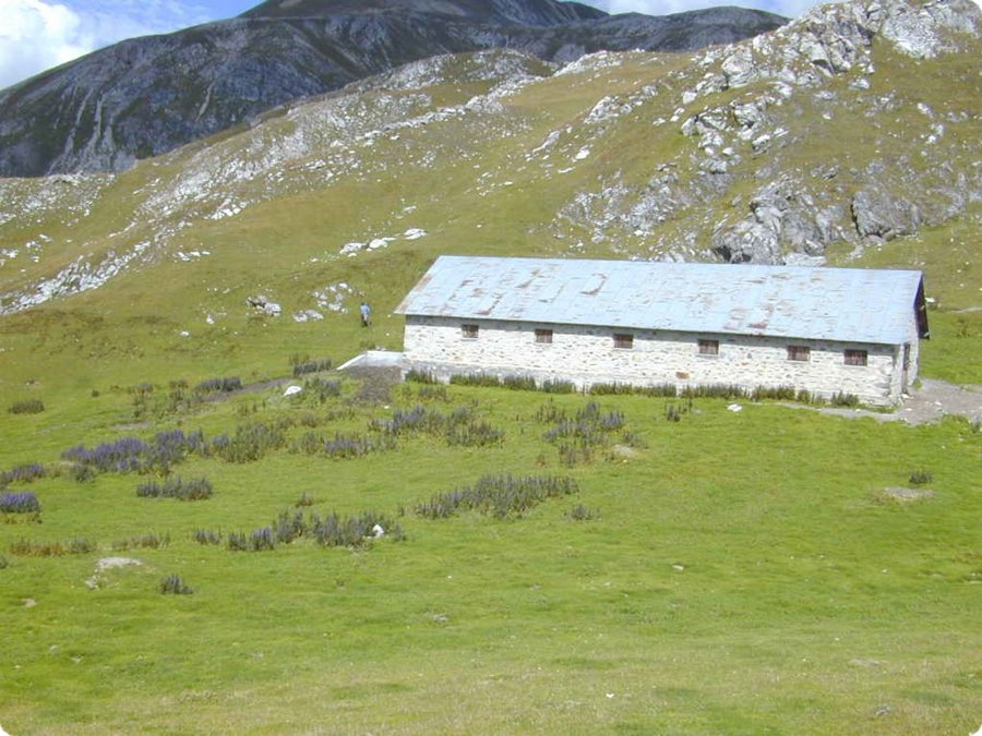 dscn1920.jpg