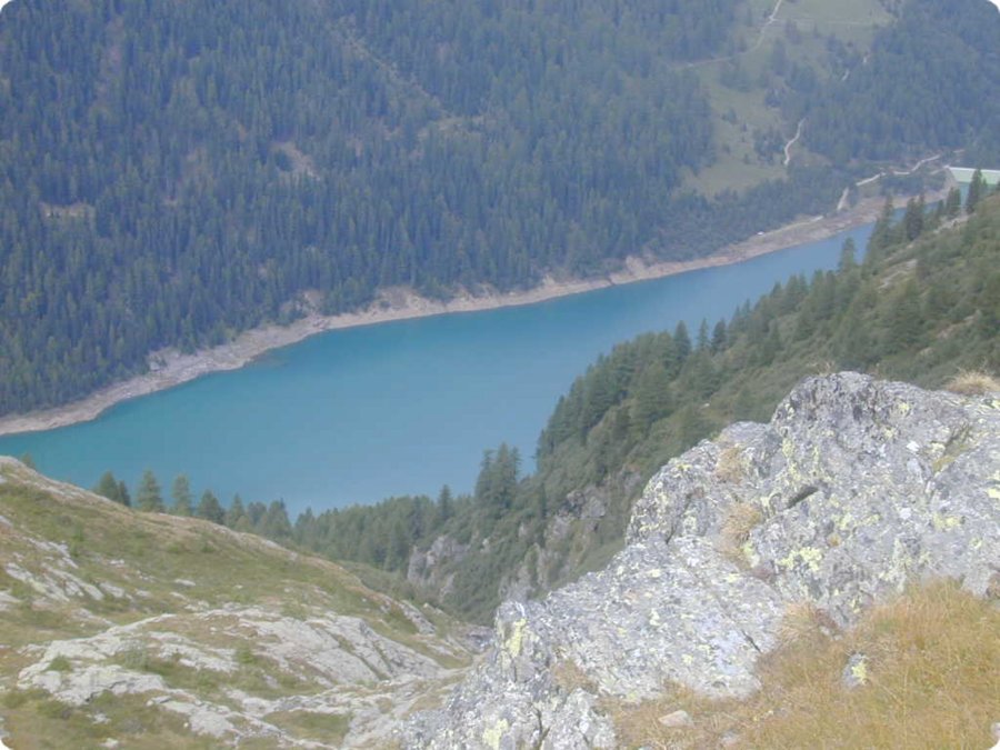 dscn1956.jpg