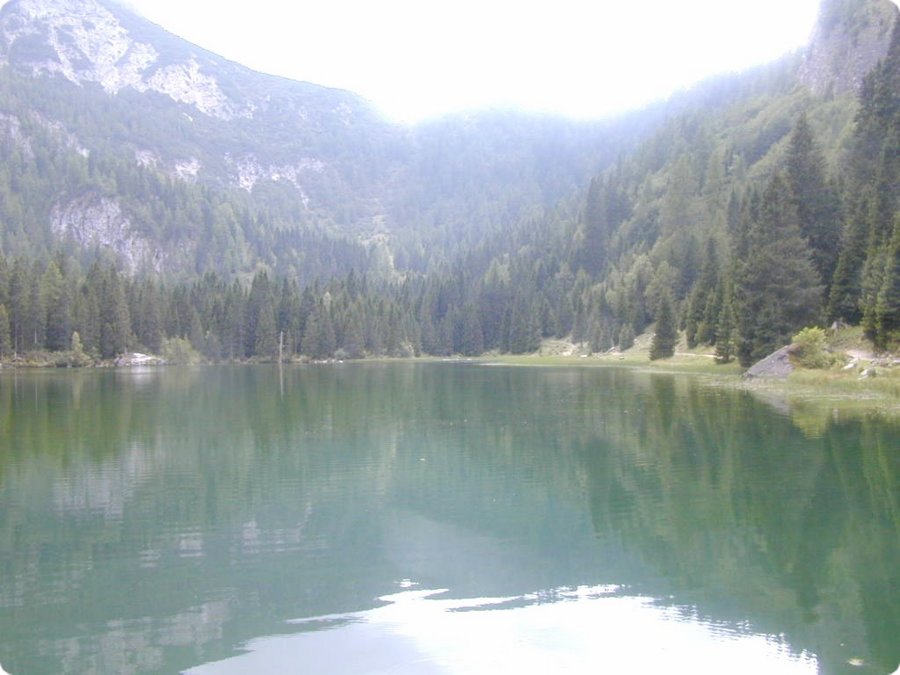 dscn1968.jpg