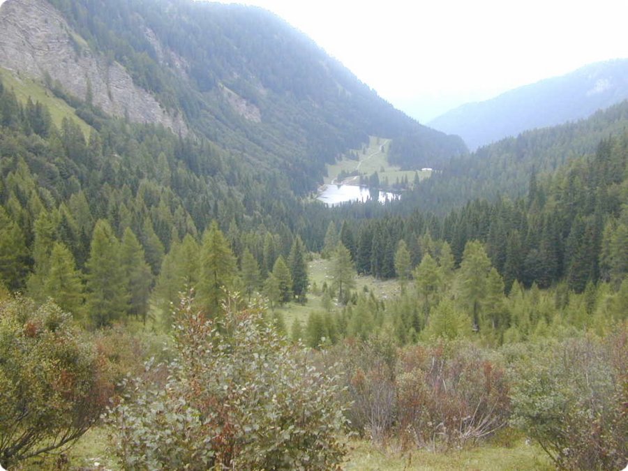 dscn1970.jpg