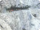 dscn1877.jpg