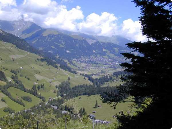 dscn3423.jpg