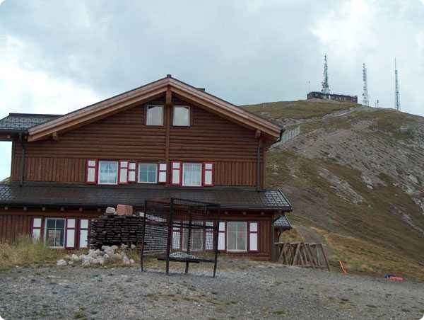 81.jpg