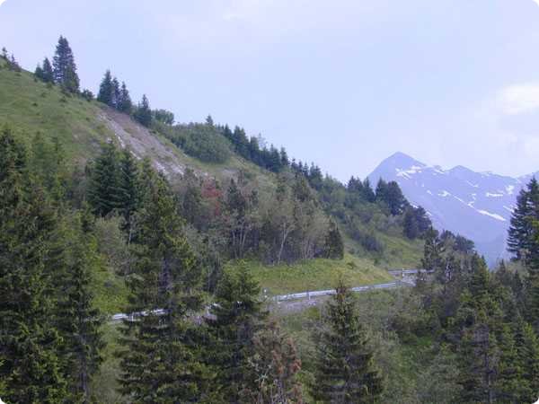 dscn3046.jpg