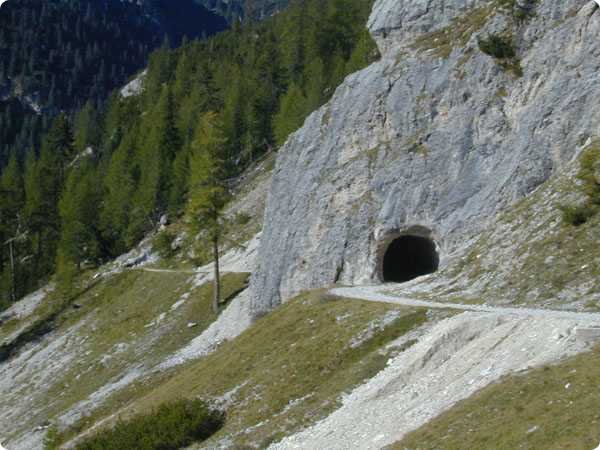 160.jpg