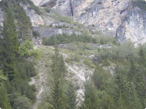 241.jpg