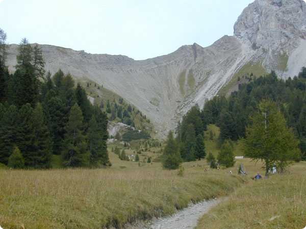 90.jpg