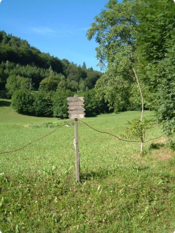 montag_81.jpg