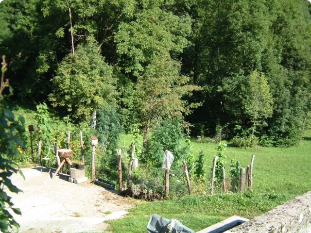 montag_82.jpg