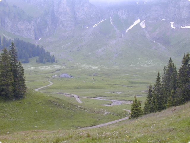 206.jpg