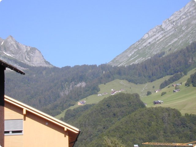 228.jpg