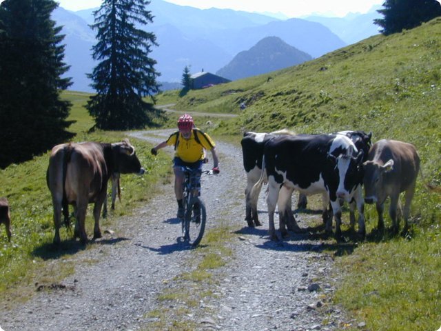 242.jpg
