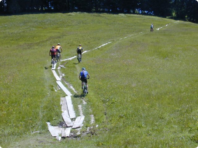 249.jpg