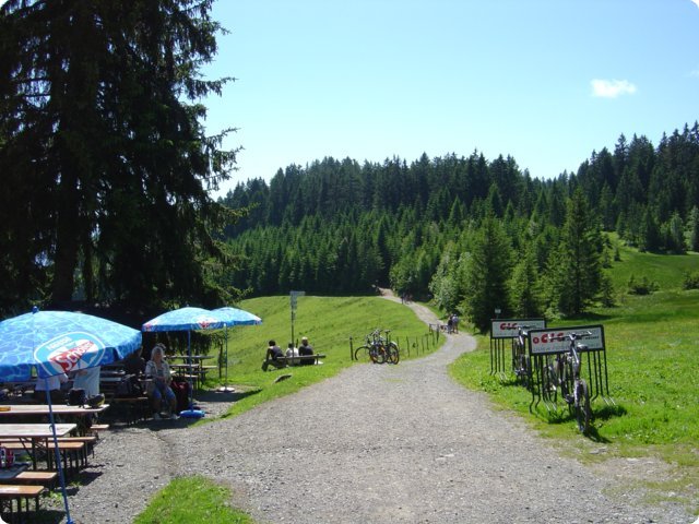 253.jpg