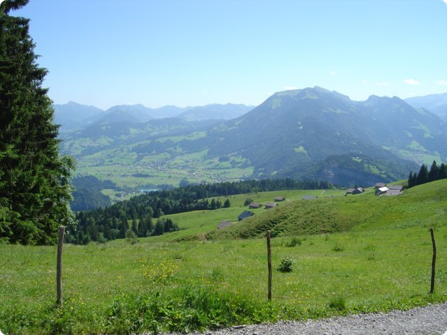 255.jpg