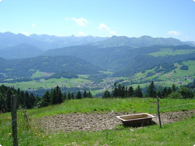 260.jpg