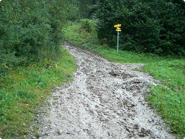 ehrwald_thomas_005.jpg