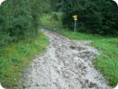 ehrwald_thomas_005.jpg