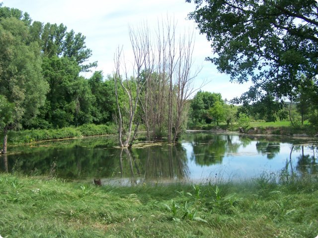 141.jpg