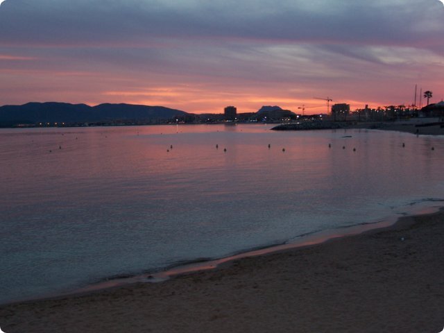 202.jpg
