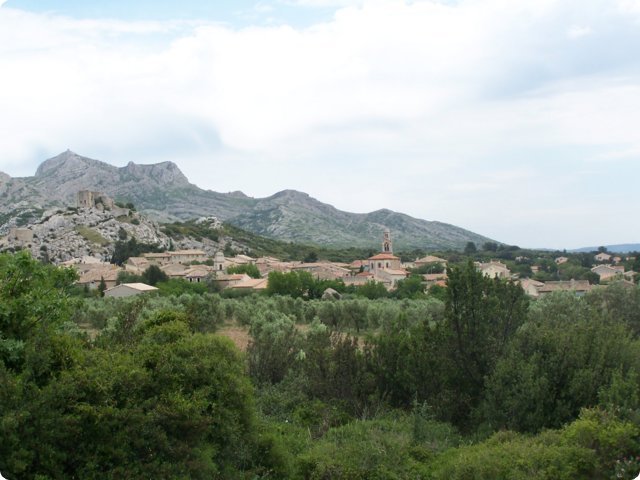 51.jpg