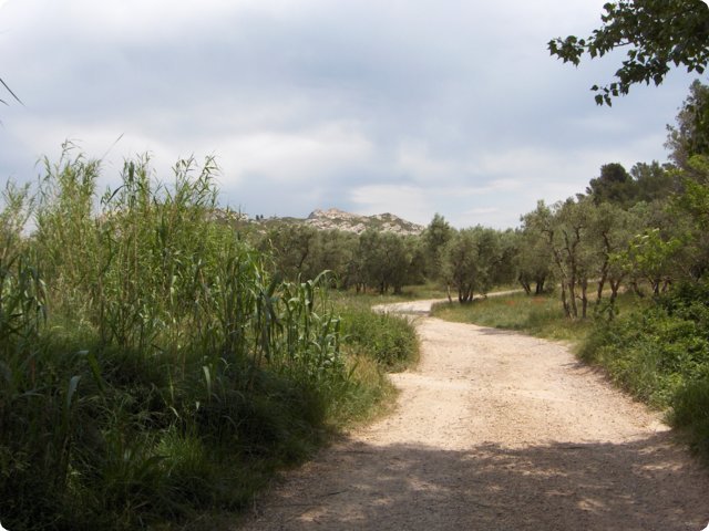76.jpg