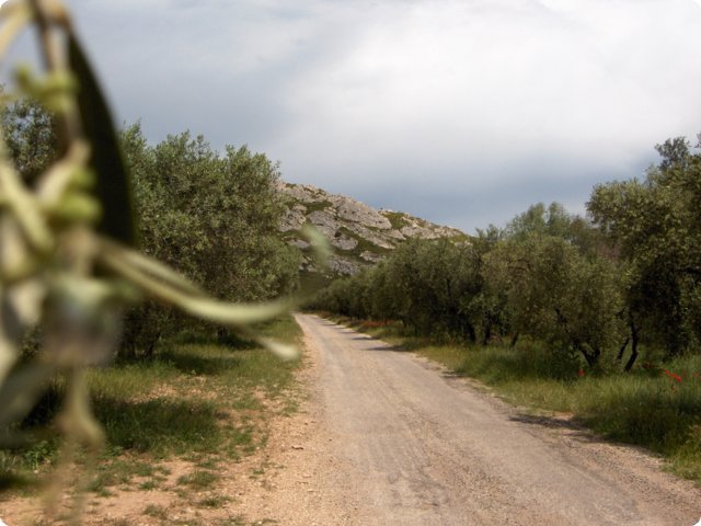 77.jpg
