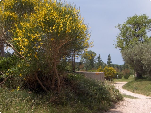 79.jpg
