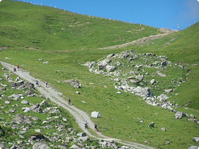 062.jpg