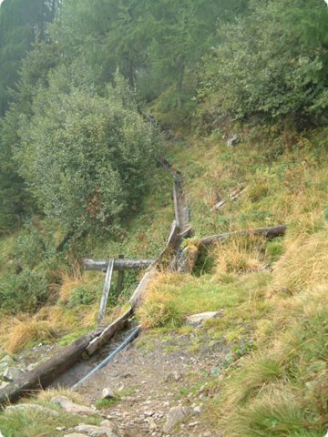 dscf0187.jpg