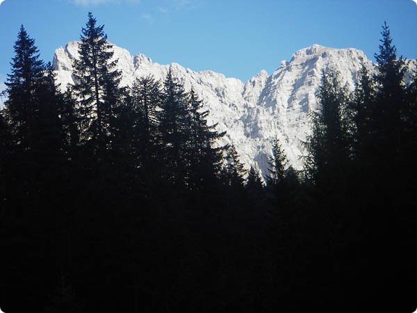 imgp0775.jpg