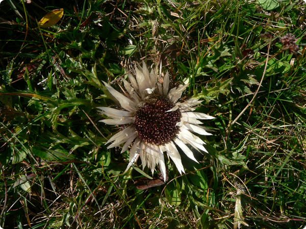 transalp_2005_267.jpg