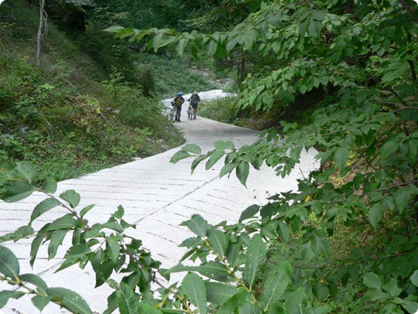 transalp_2005_320.jpg