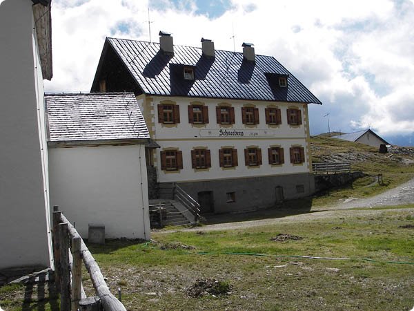 194.jpg
