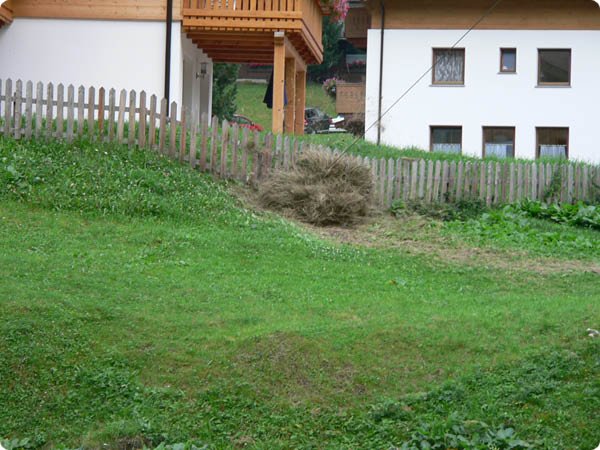218.jpg