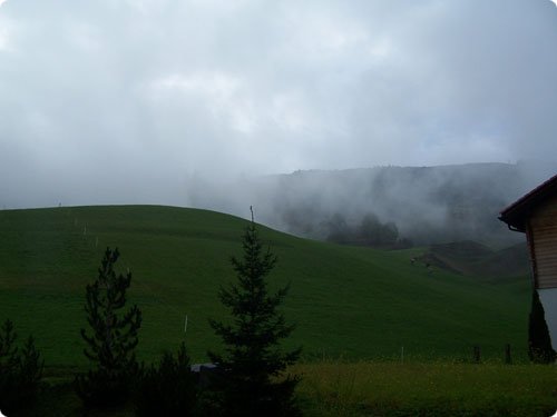 54.jpg