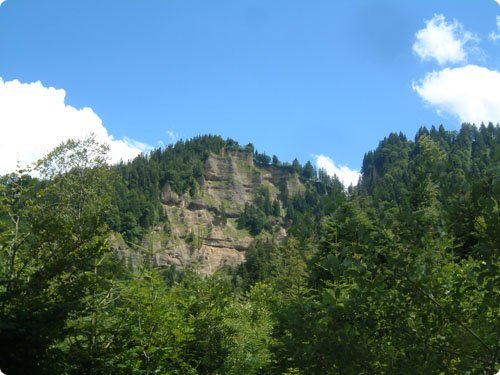 65.jpg