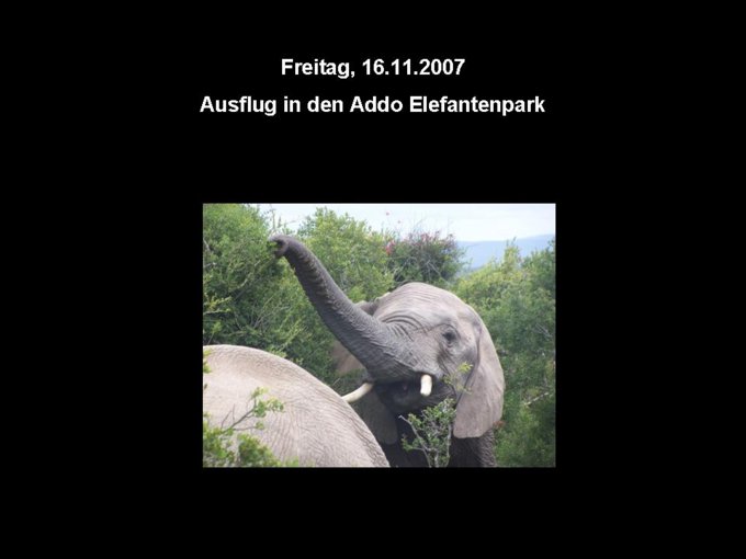 323.jpg