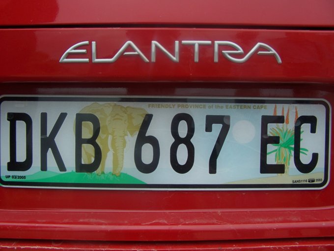 355.jpg