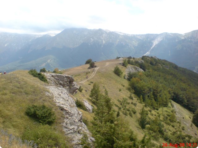 73.jpg