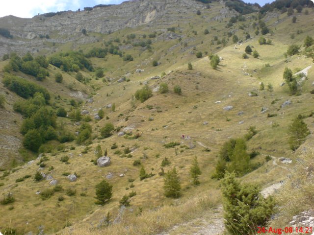 74.jpg