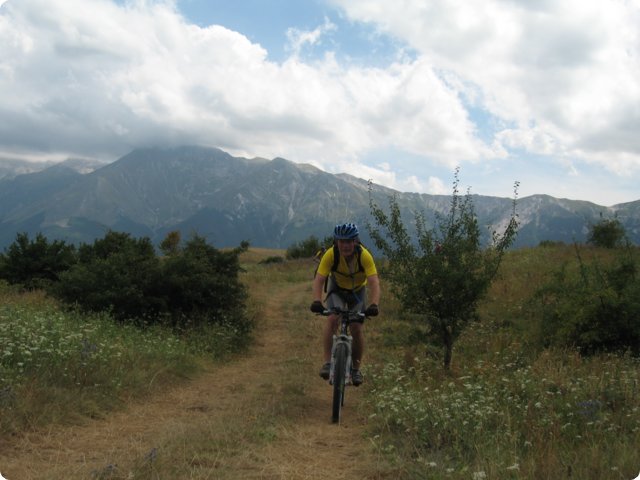 75.jpg
