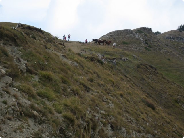 93.jpg