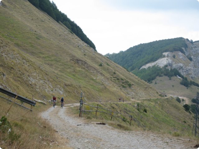98.jpg