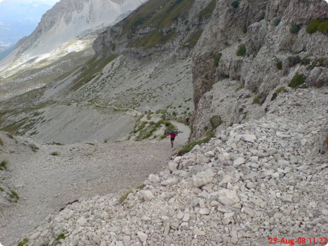 39.jpg