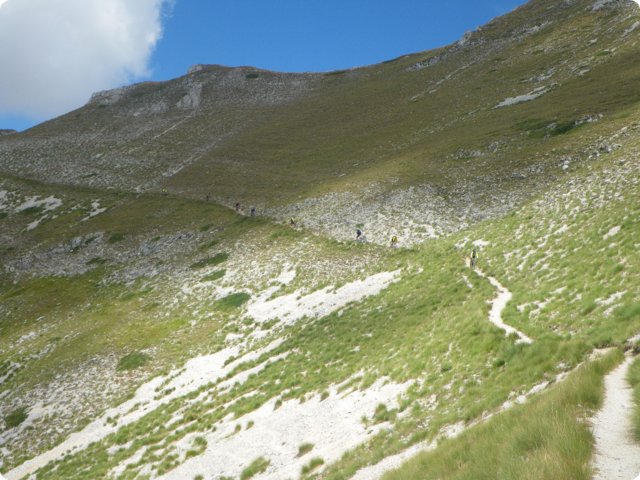 51.jpg