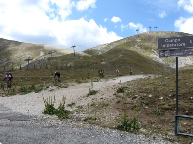 71.jpg