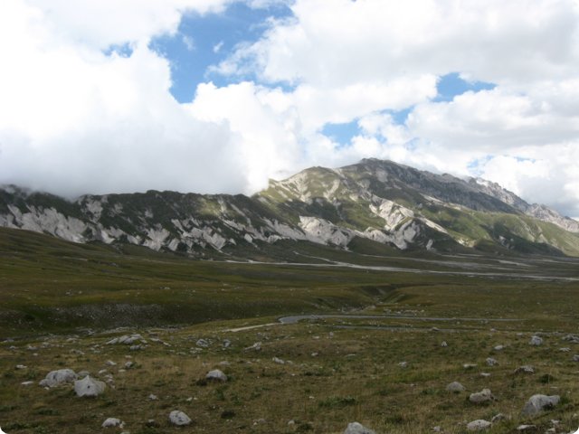 74.jpg